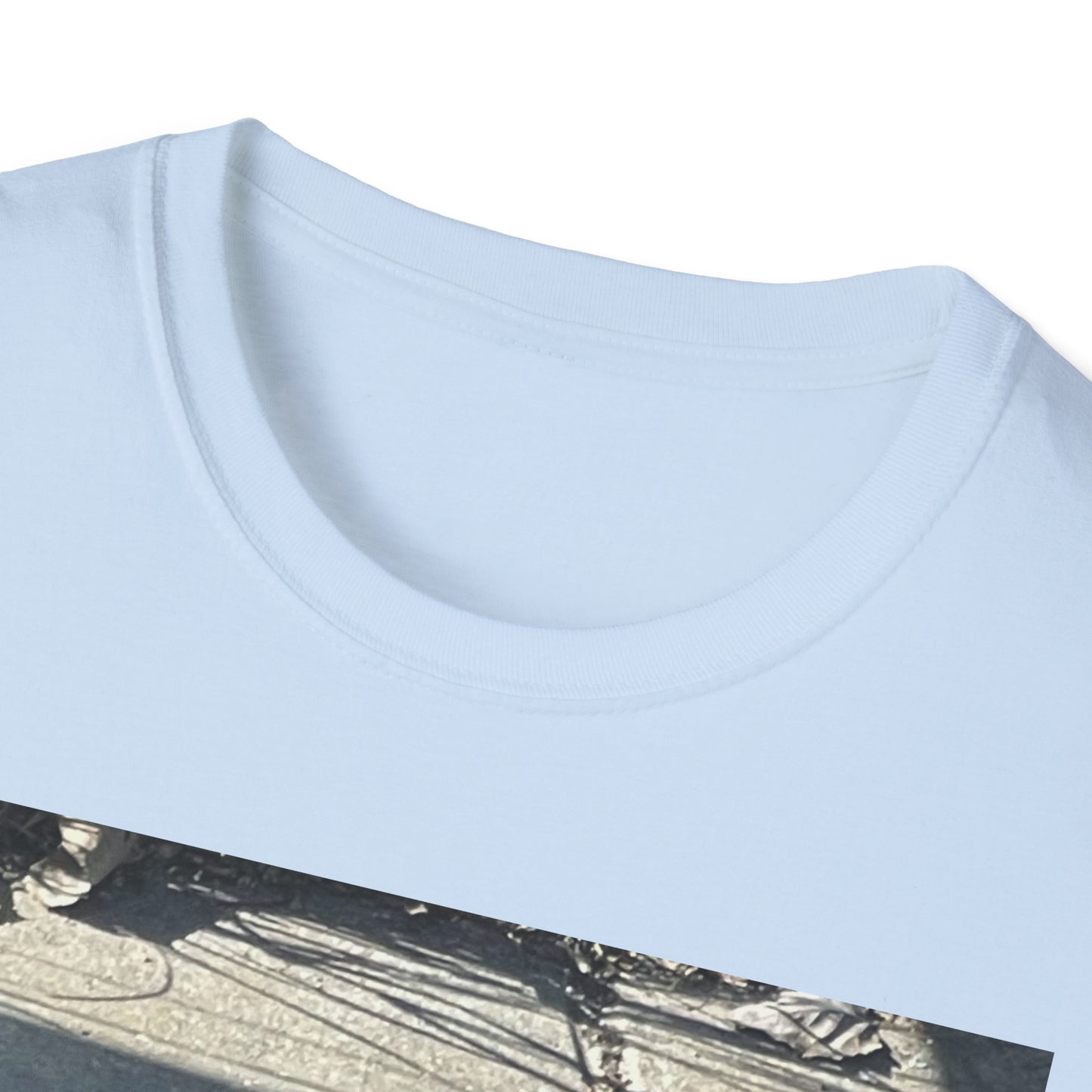 Casual Graphic Tee, Unisex Softstyle T-Shirt with Bird Design, Perfect for Bird Lovers, Gift for Nature Enthusiasts, Everyday Wear