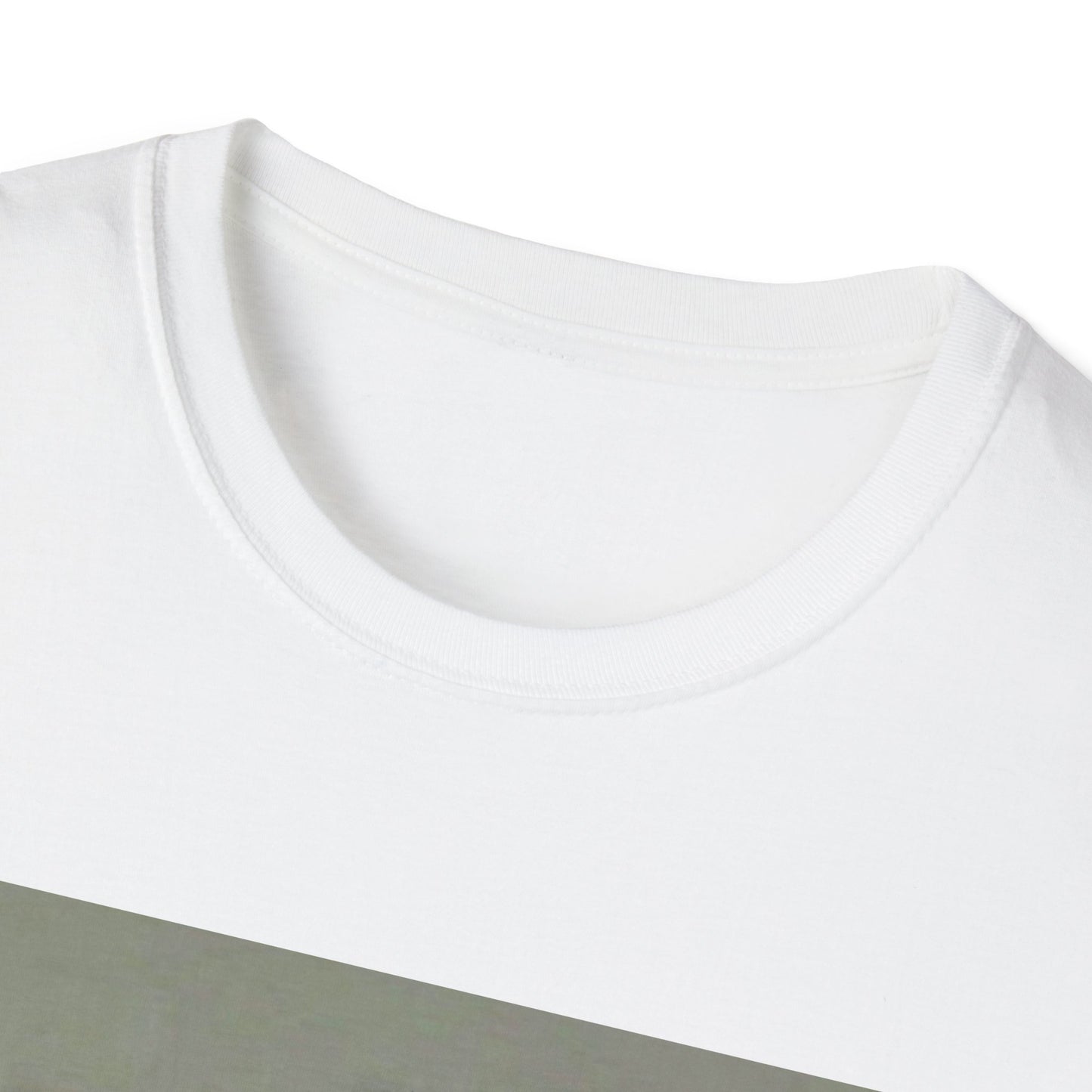 Edgy Anarchist Graphic Tee, Unisex Softstyle T-Shirt, Streetwear Fashion, Casual Wear, Unique Gift for Rebels, Punk Style Top